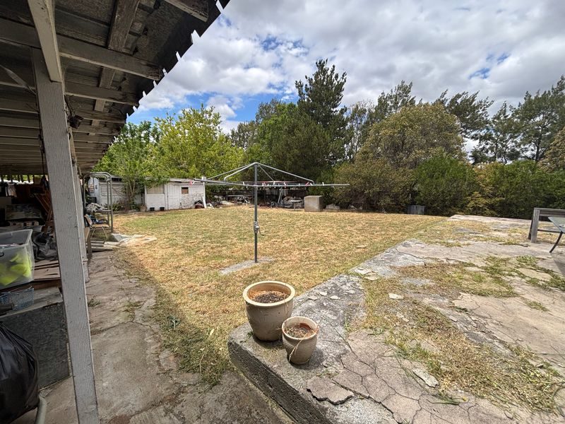 Backyard after: grass mown short around the clothesline