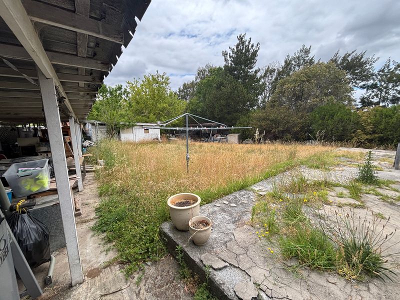 Backyard before: long, dry overgrown grass around the clothesline