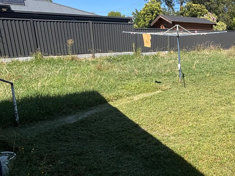 Large backyard partway through mowing, with a cut strip beside longer grass