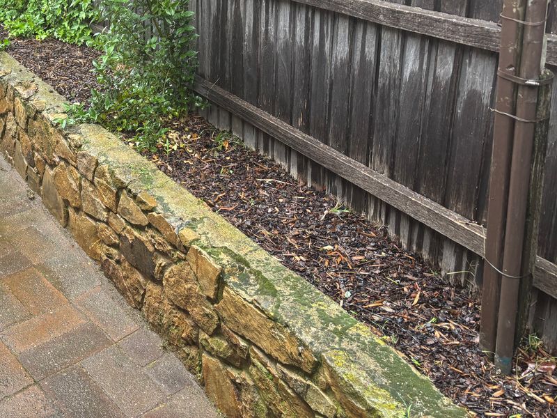 Garden bed along a stone retaining wall and fence, freshly mulched